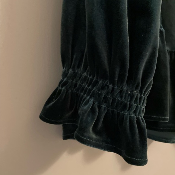 Soft Surroundings Floriana Velvet Peplum Ruffle Blouse Pine Grove Size Medium - Picture 4 of 13